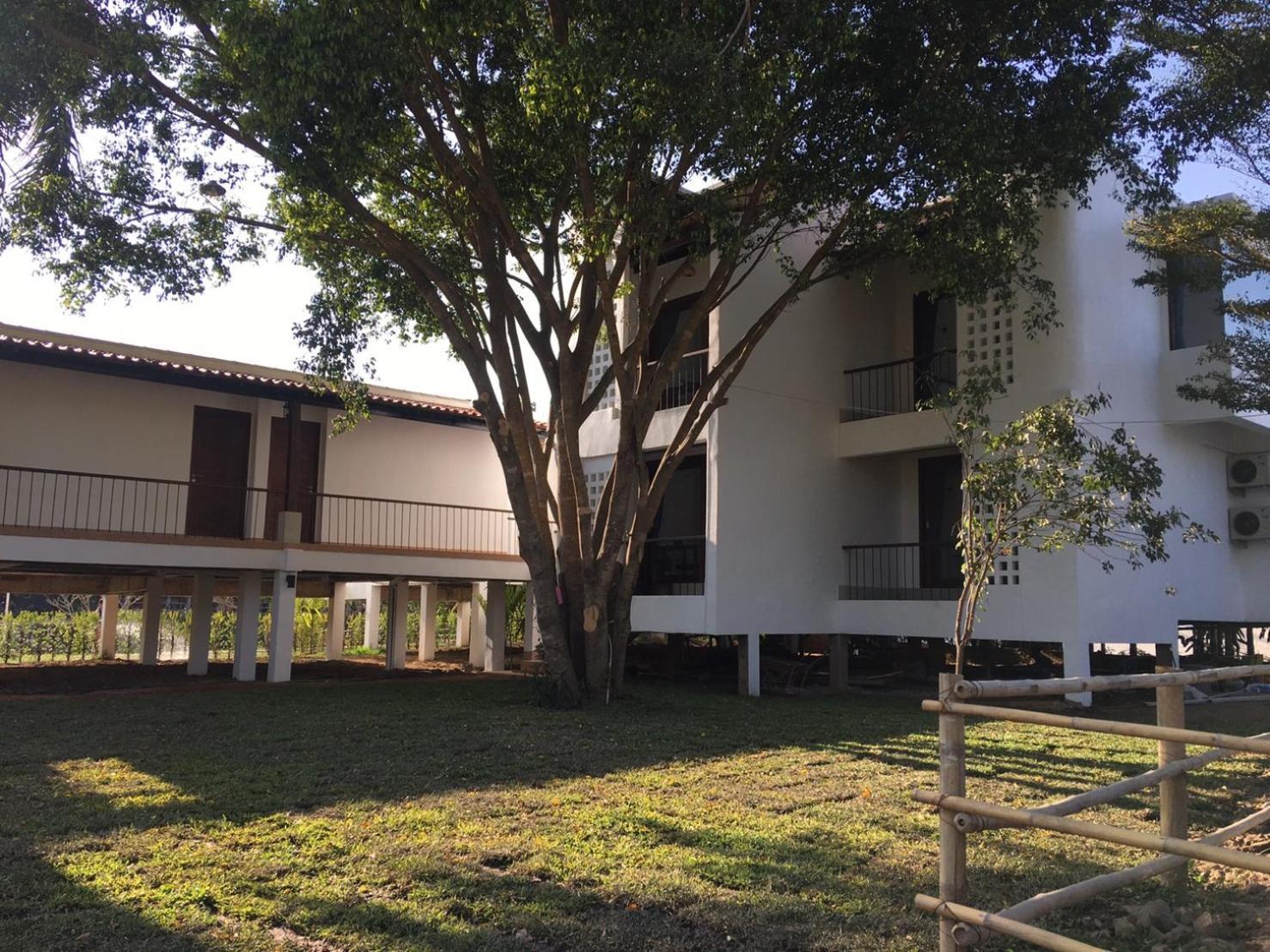 Canary Guesthouse Пай Стая снимка